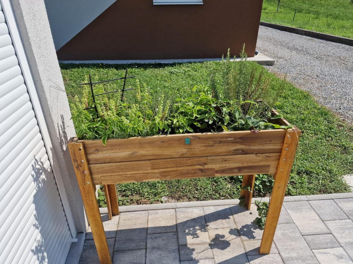 Kuca Za Odmor Grasevina Villa Kutjevo Ngoại thất bức ảnh